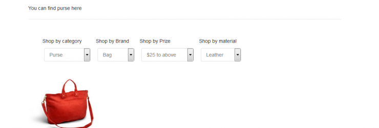 How to Add Custom Shopify Filters to Improve On-Site Experience
