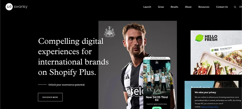 Swanky Agency home page