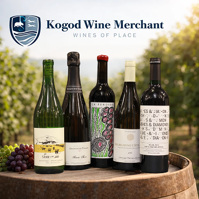 Kogodwine