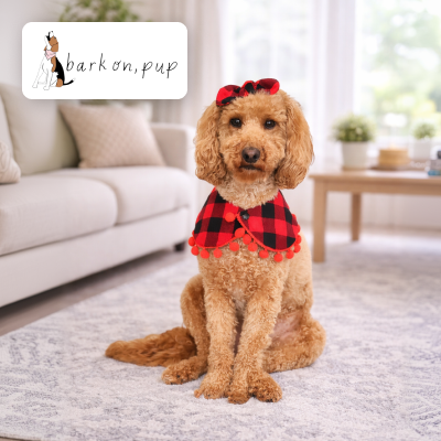 barkonpup
