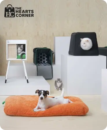 the_heartscorner